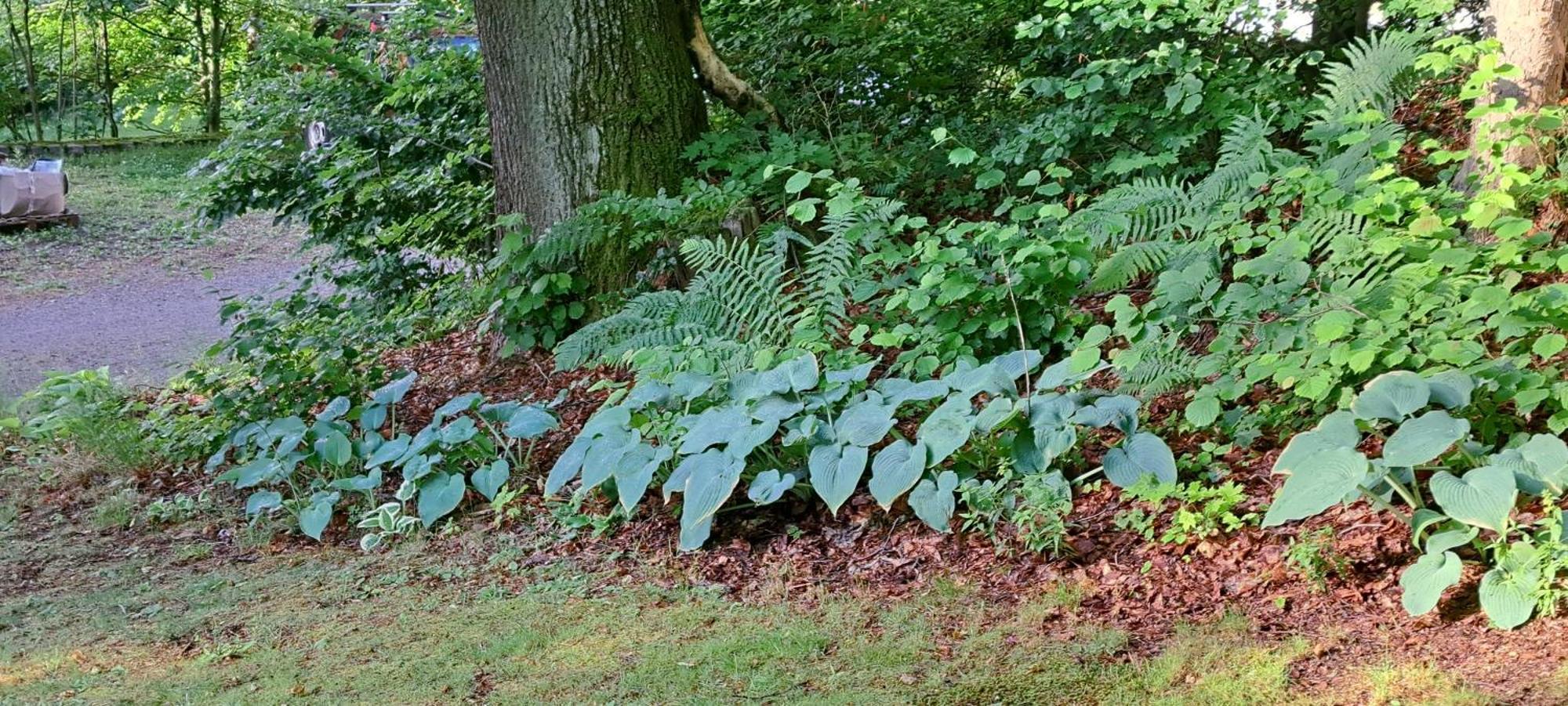 Dom Tole Villa Szklarska Poreba Luaran gambar