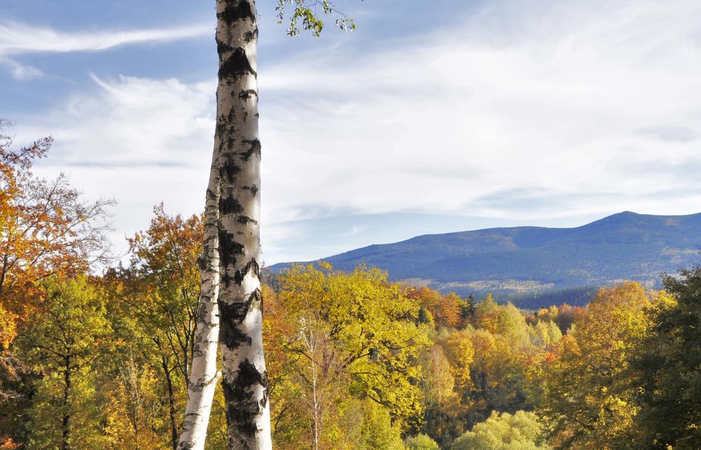 Dom Tole Villa Szklarska Poreba Luaran gambar